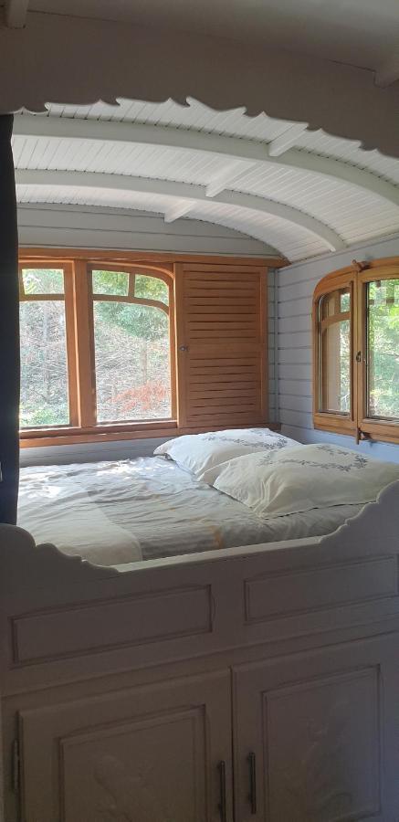 Roulotte En Bois Sud France Guest House Le Soler Ngoại thất bức ảnh