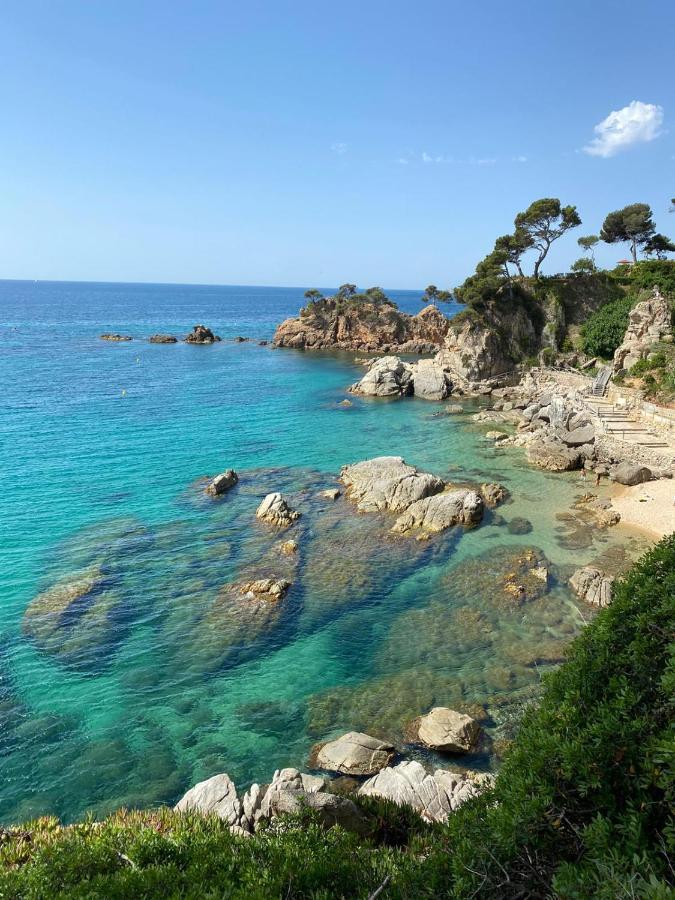 Roulotte En Bois Sud France Guest House Le Soler Ngoại thất bức ảnh