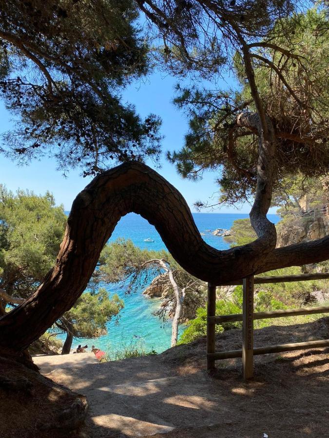 Roulotte En Bois Sud France Guest House Le Soler Ngoại thất bức ảnh